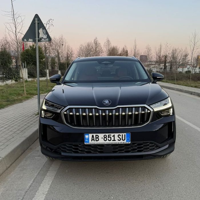 Skoda Kodiaq - Image 3
